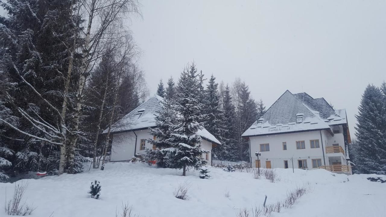 Гостевой дом Bonita Chalet Neagra Şarului-15