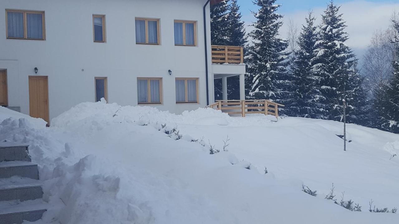 Гостевой дом Bonita Chalet Neagra Şarului-9